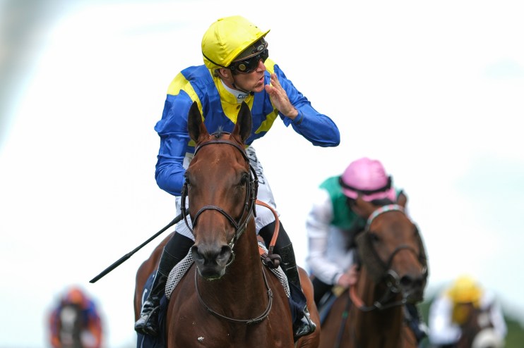 Expect a Goliath performance from French raider in Hardwicke
